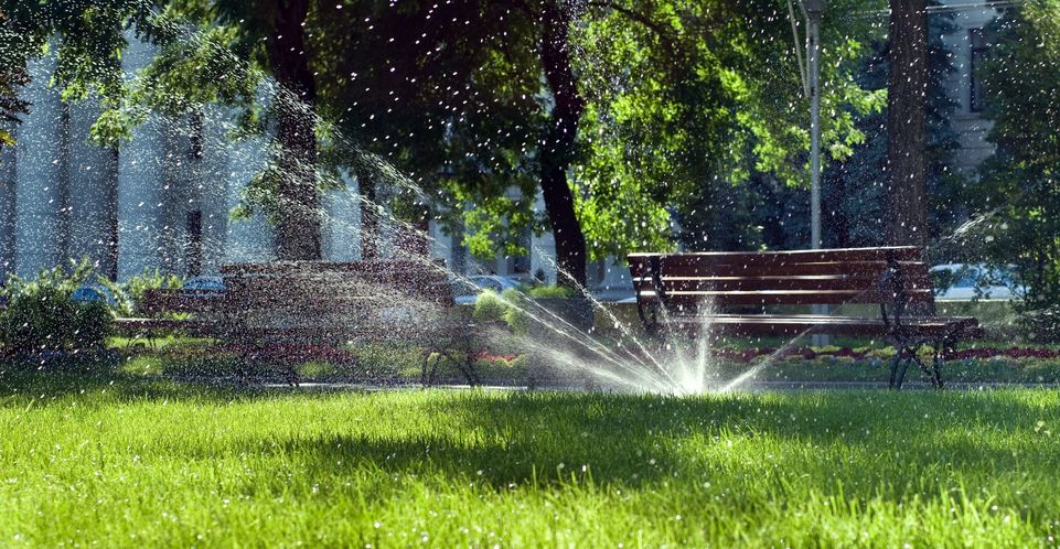 Sprinkler Repair: Spending Money on the Least Fun Aspects of Lawn Care