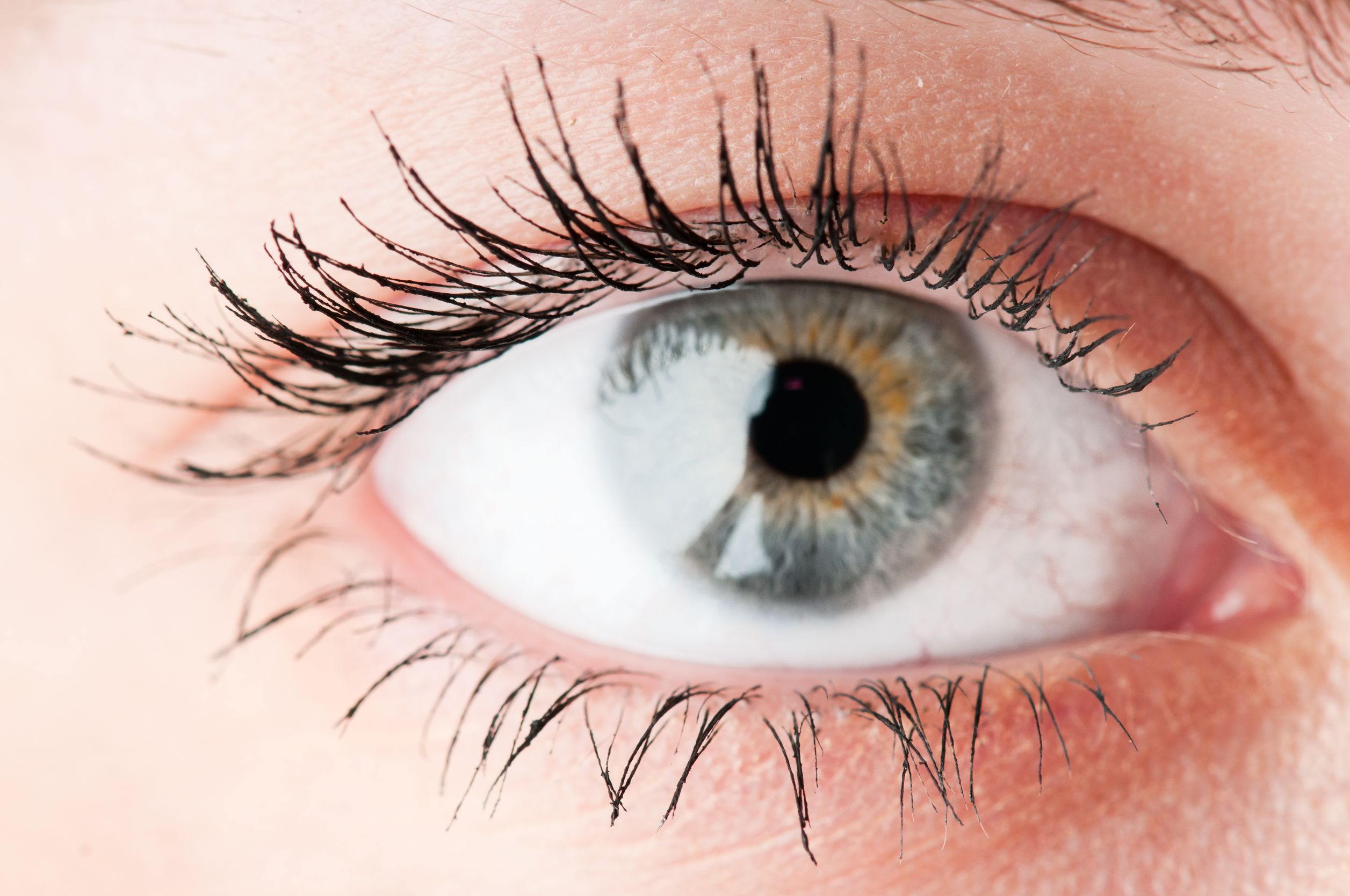 See The Eye Doctor For All Your Eye Care Needs