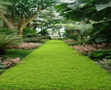 Services Provided by a Lawn Services Company in Palm Bay
