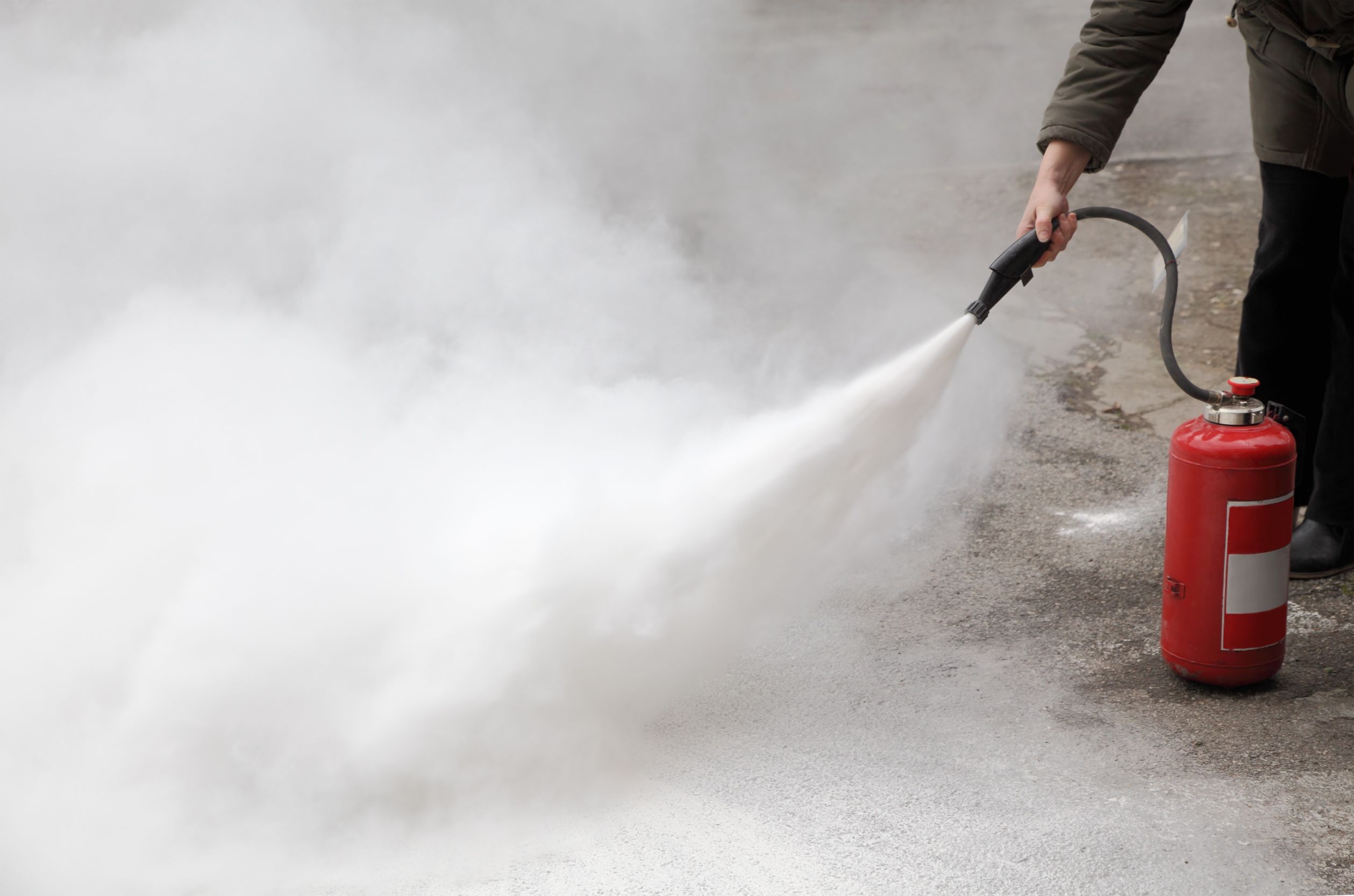 The Advantages Of Commercial Pest Control In Arlington, VA