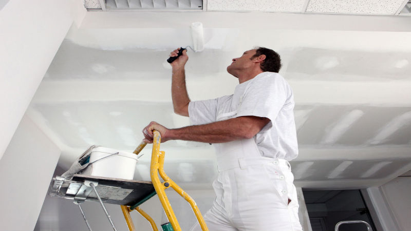 Factors to Consider When Choosing Commercial Painters in Honolulu