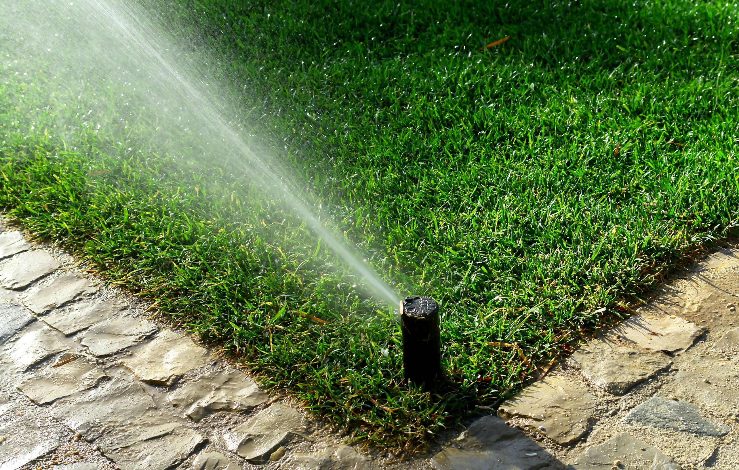 Signs it is Time for Sprinkler Repair in Spokane
