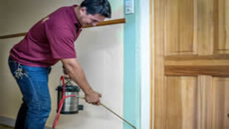 How to find trusted rodent removal services in Mililani