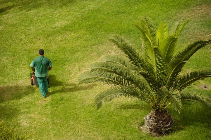 Residential Mowing Services in Boulder, CO Are a Cut Above the Rest