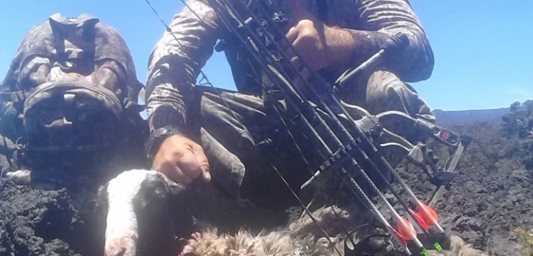 Guns and Archery in Oahu for Effective Hunting