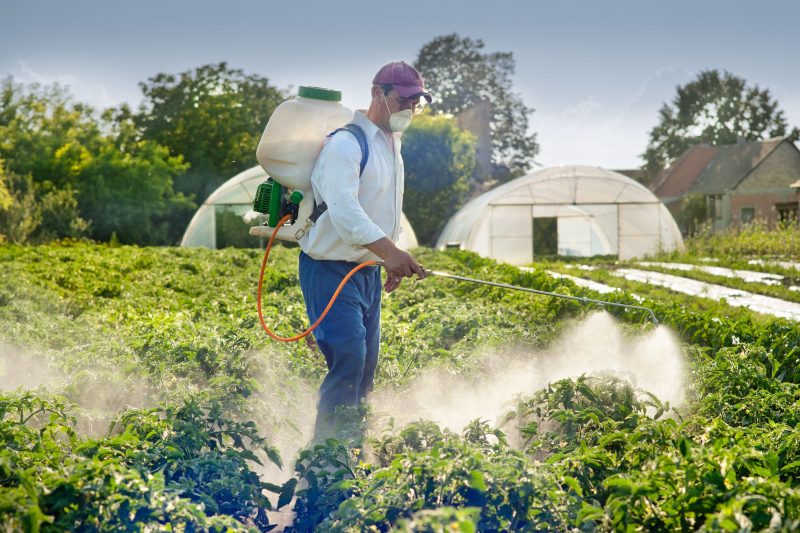 4 Benefits of Wintertime Pest Control in Longmont CO