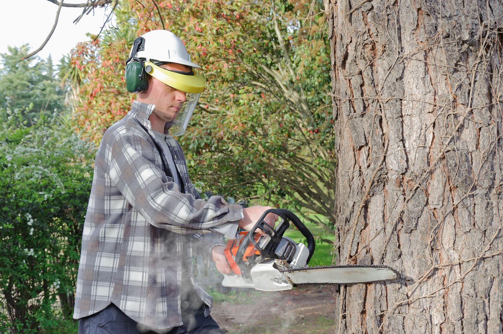 Rely on a Professional Tree-Cutting Service in Smyrna, GA When the Time Comes