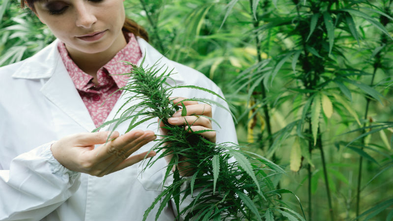 Tips on Finding the Best Distillate Cartridge in Boston, MA