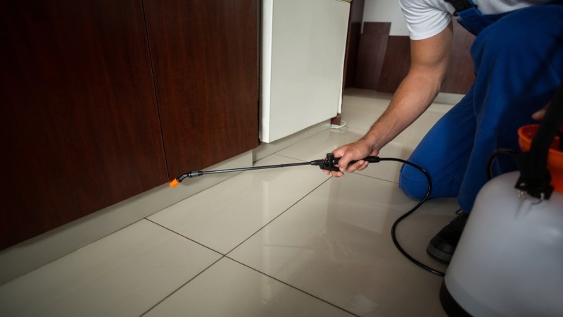 Important Tips for Mouse Control in Halifax