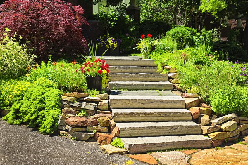 Things You Need to Consider When Choosing Your Landscaping in Whitefish Bay, WI