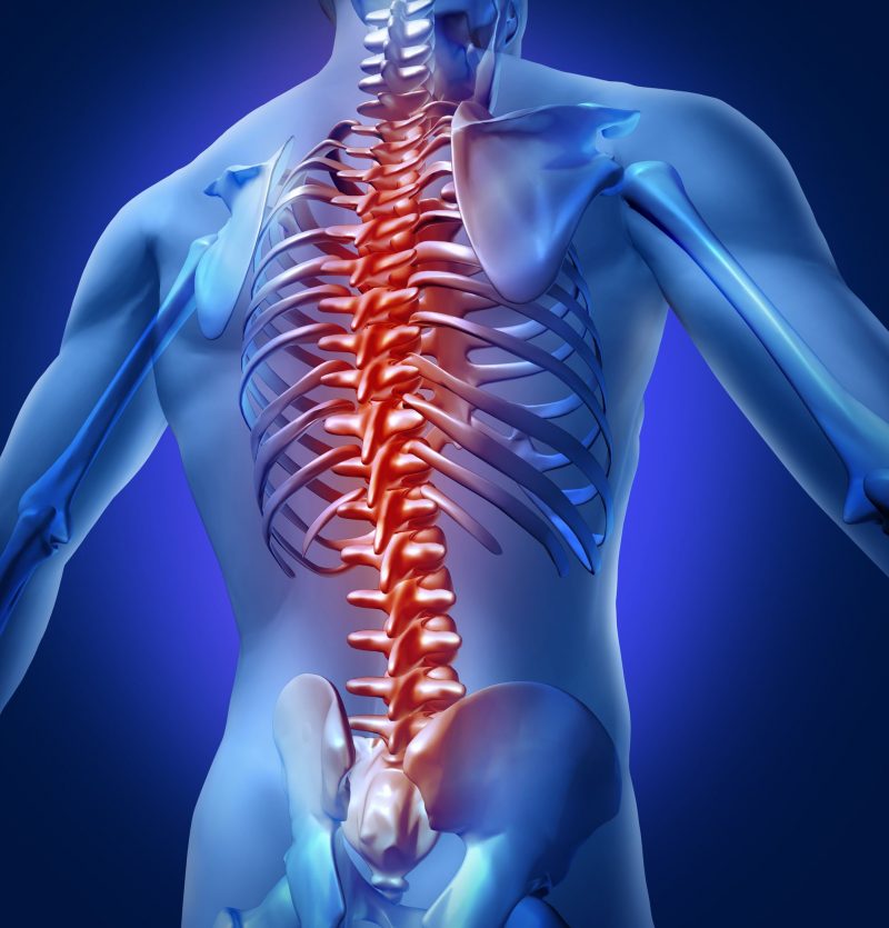 The Importance of Getting the Best Spinal Treatment and Pain Management