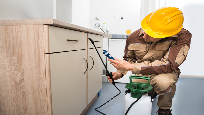 Prevent Hidden Infestations through Professional Termite Pest Treatment Charlottesville VA Services
