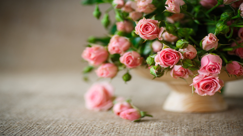 The Best Flower Shop in Green Bay