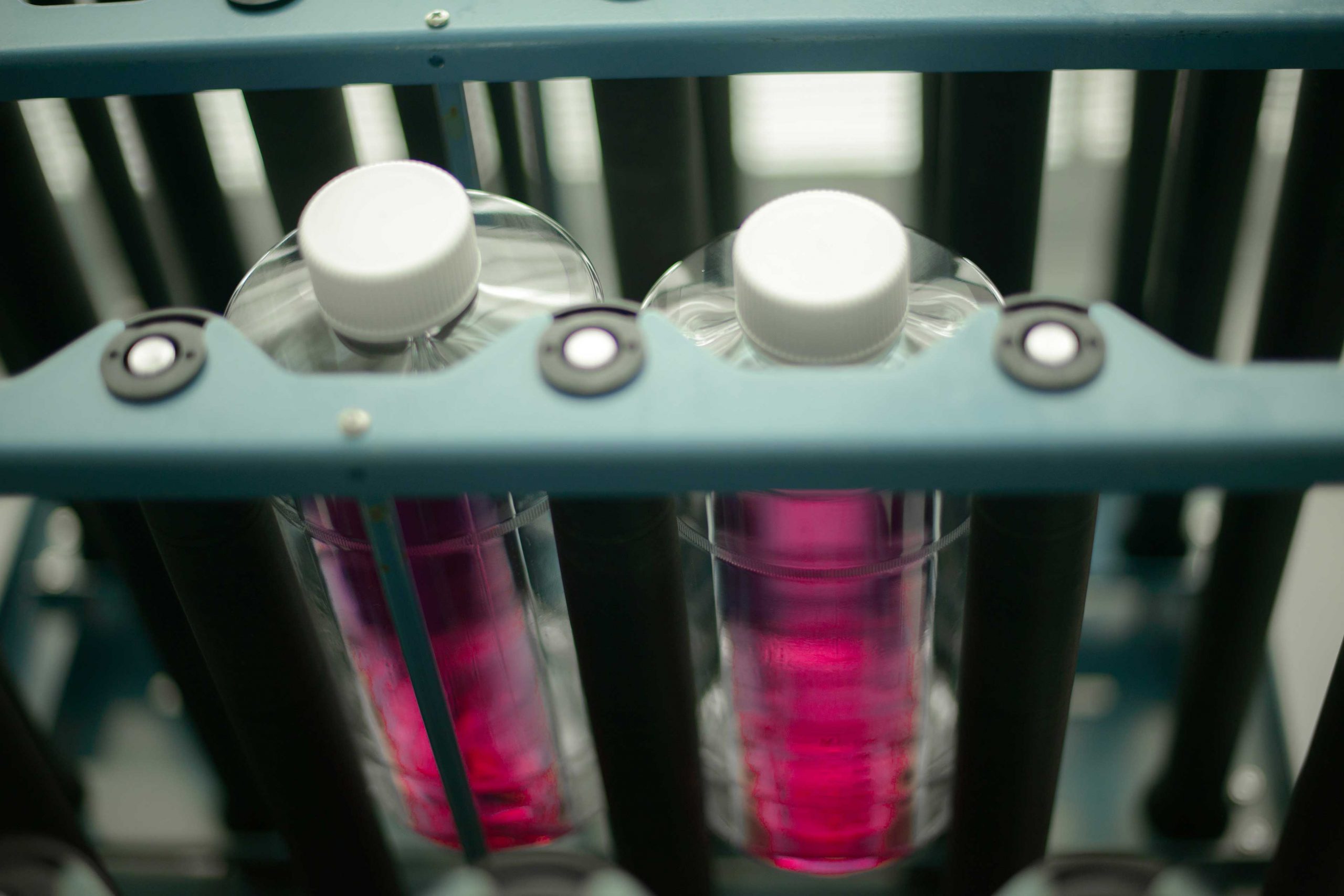 Providing the Vital Cancer Cell Culture Your Organization Needs