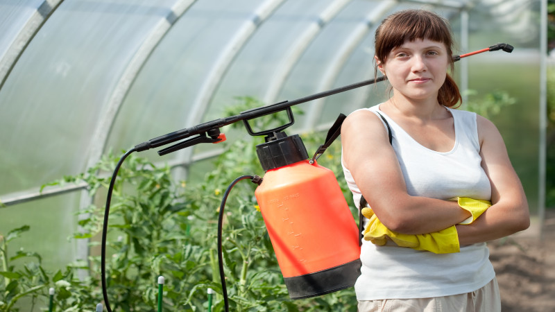 The Best Tips for Pest Control Fort Myers FL