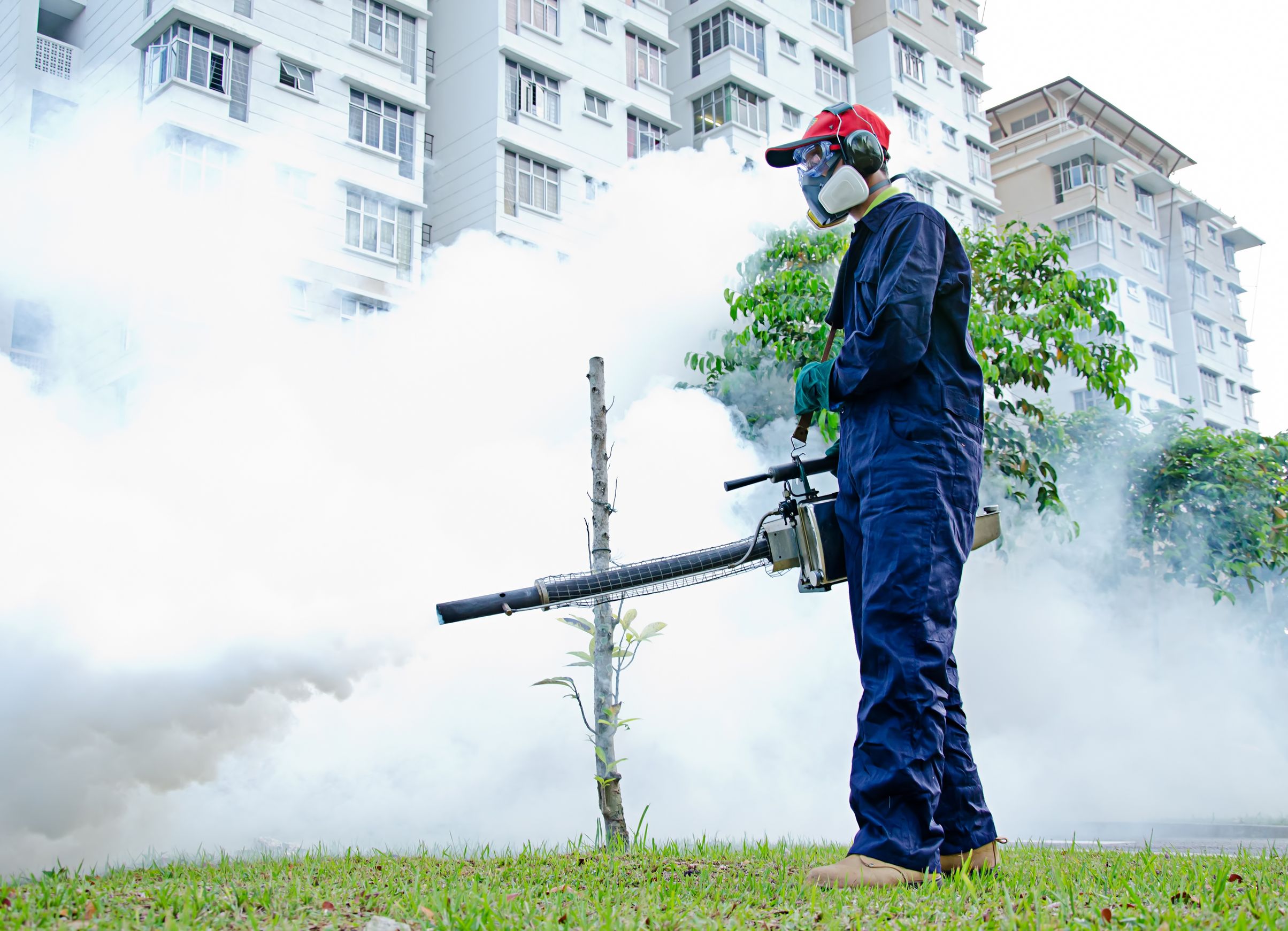 The Benefits of Mosquito Treatment in Katy