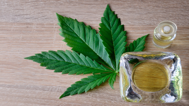 What to Look for in CBD Oil Gummies