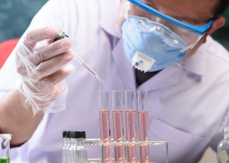 The Benefits That Mycorrhizae Has on the Roots of Your Plants in the U.S.