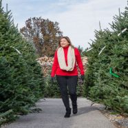 Choosing Just the Right Tree Online for Your Home for the Holiday Season