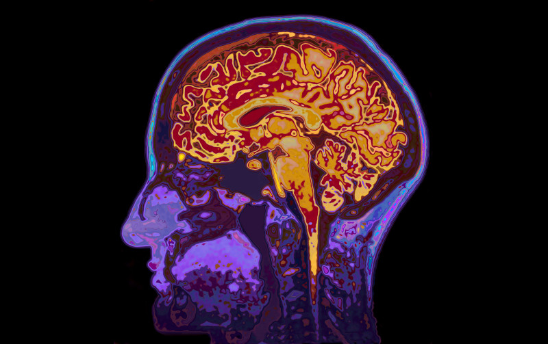 Dr. Mehta and Dr. Romero With the Neurology Center For Epilepsy In Monmouth County, New Jersey