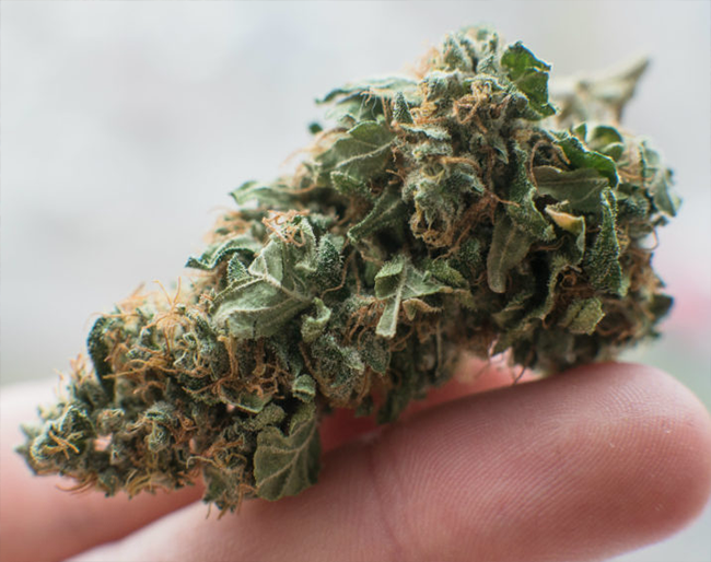 Go to Big Rapids for the Best Recreational Weed in Mecosta County, MI