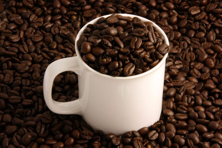 Need a Spectacular Internet-Delivered Coffee? Here Is Just the Thing