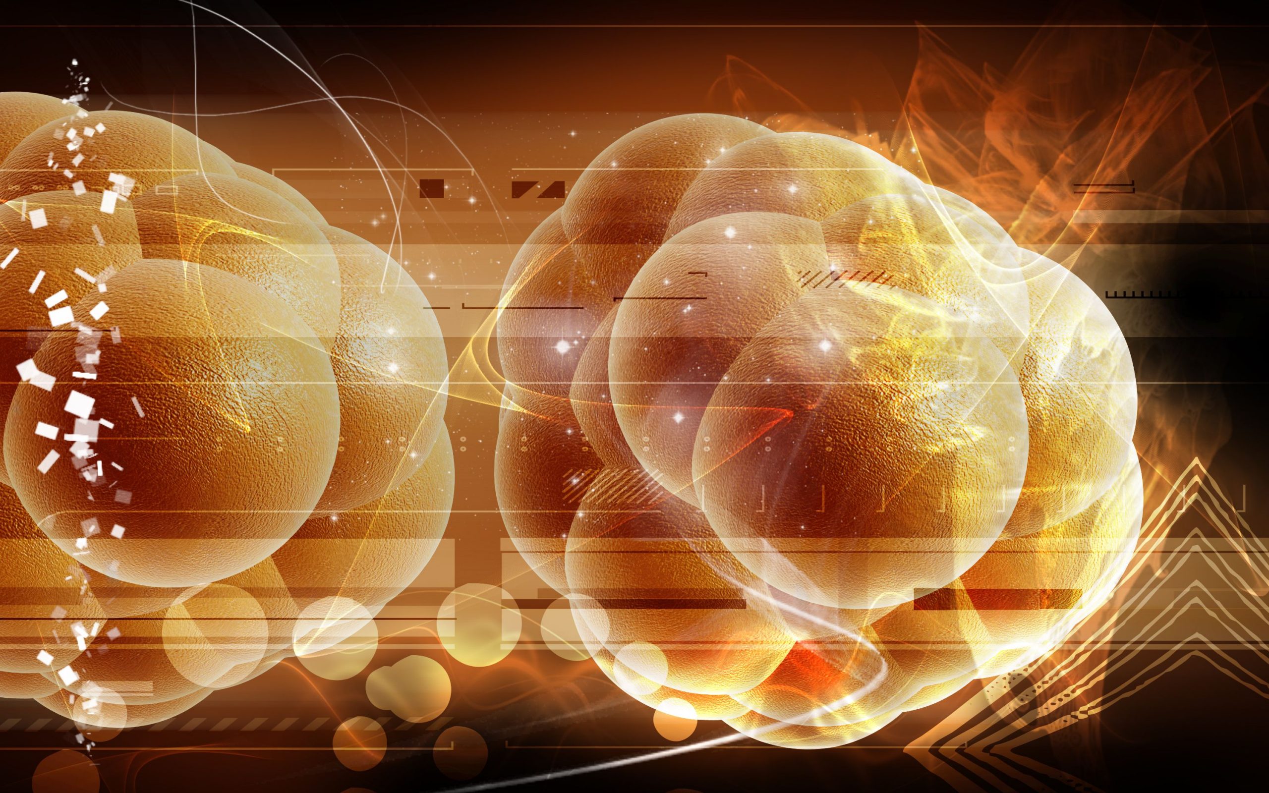Unraveling the Ethical Labyrinth of Regenerative Medicine in Latham, NY