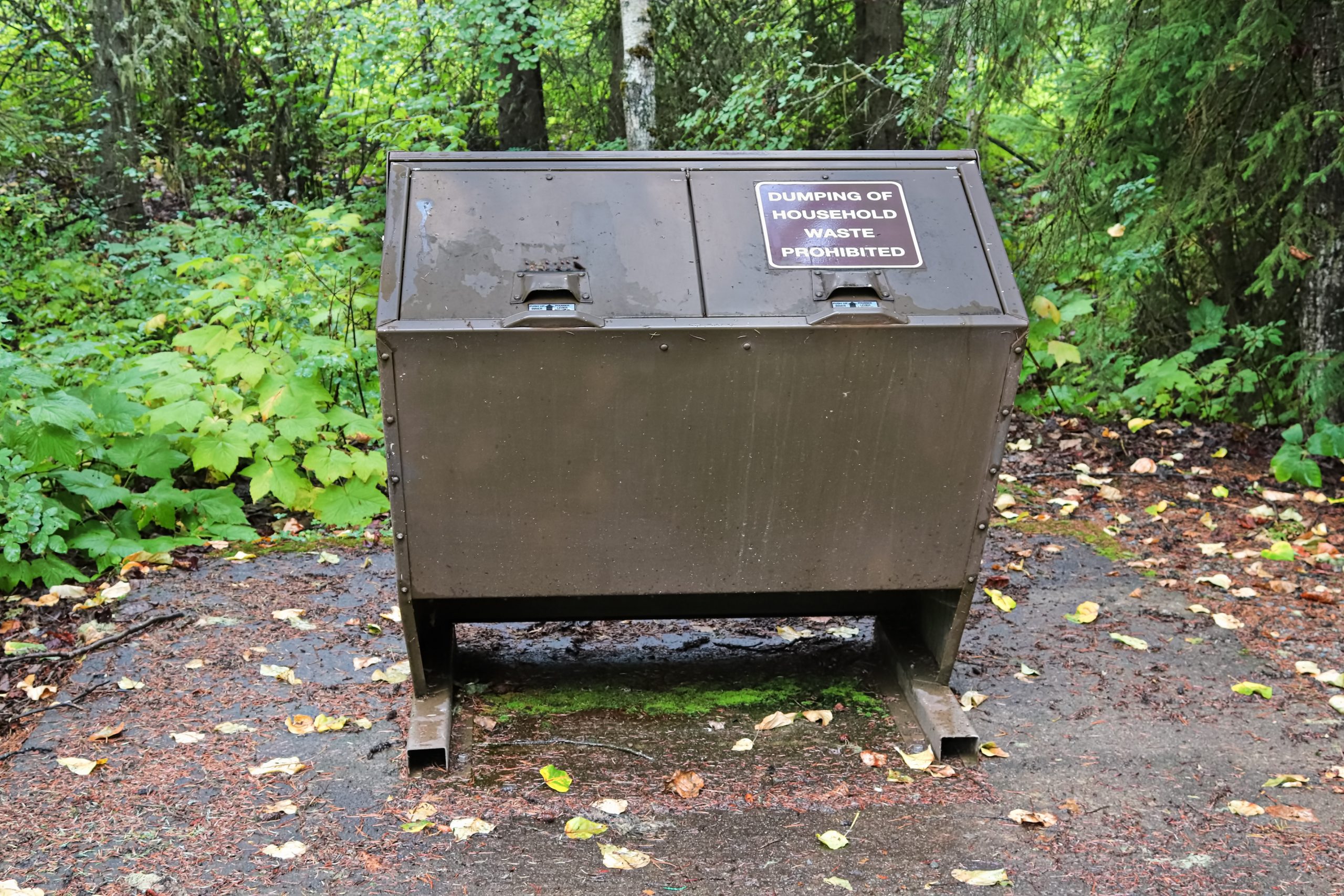 The Ultimate Guide to Choosing the Right Bear Box for Sale