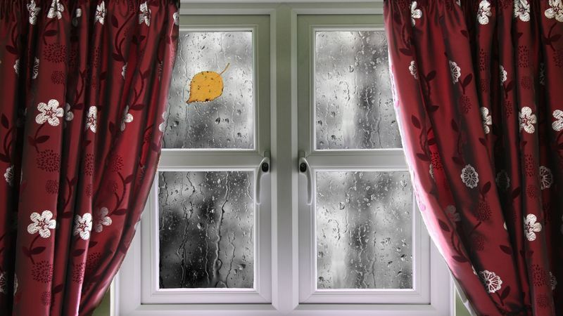 Choose From a Huge Selection of Window Curtains in Thrall, TX At a Dedicated Shop