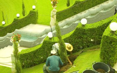 The Advantages of Hiring a Landscaping Contractor in Fresno, CA