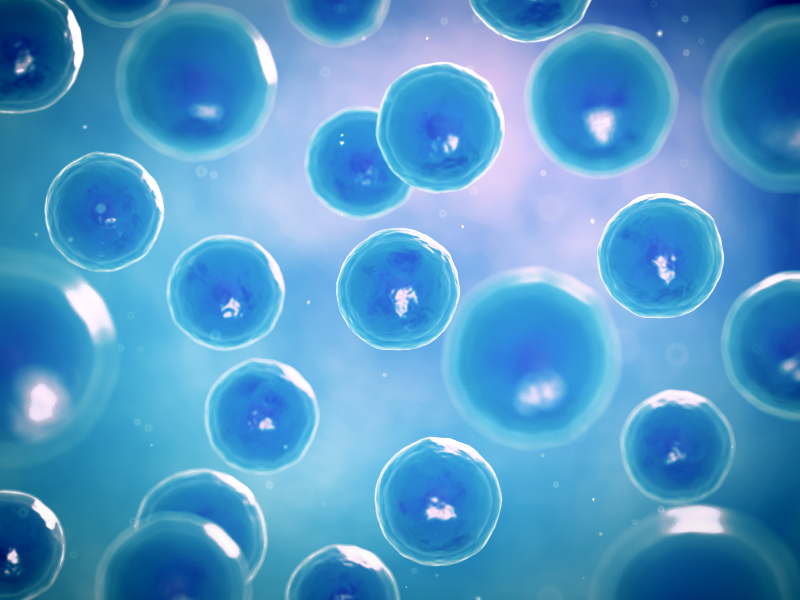 What Benefits Differentiate Regenerative Medicine in Freeport, ME?
