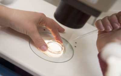 What Is Preimplantation Genetic Testing in Newport Beach, CA?