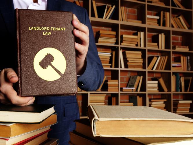 Reasons to Hire an Employment Lawyer