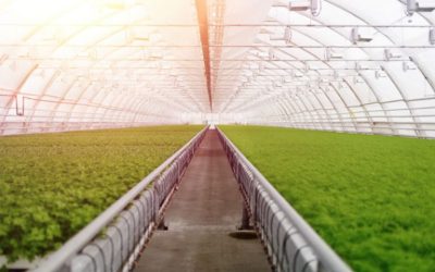 Smart farming technologies will shape agriculture’s future