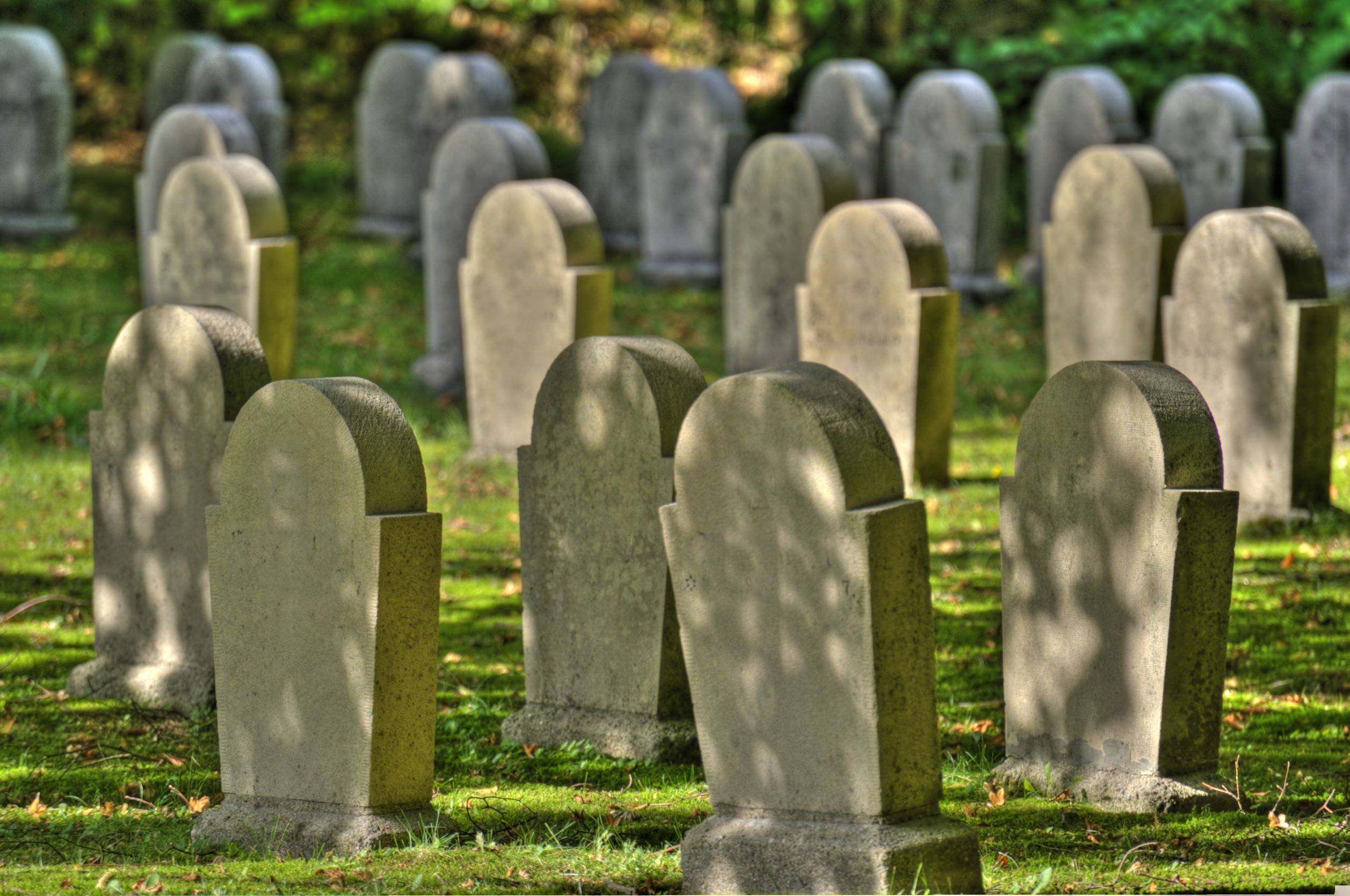 Memorializing Loved Ones With Respect and Serenity Through Funeral Home Service in San Pablo