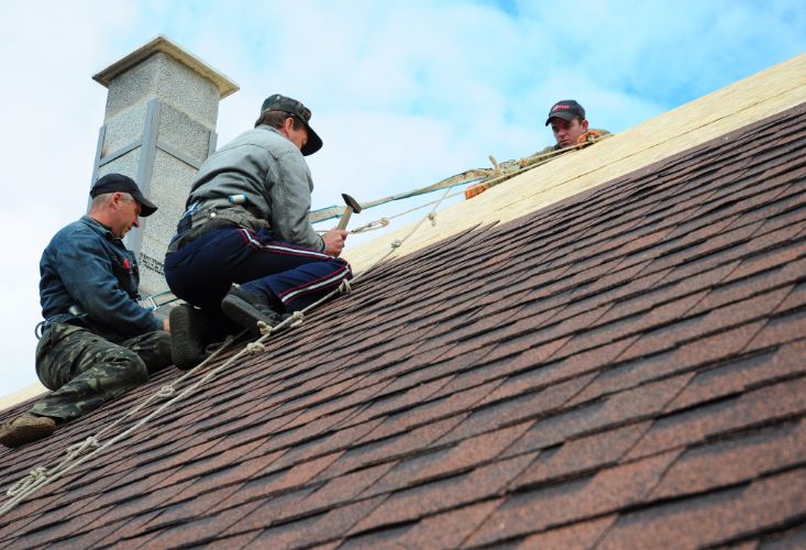 Building Trust and Reliability: Why Roofers in Norfolk, VA, Are Your Ultimate Choice for Home Improvement
