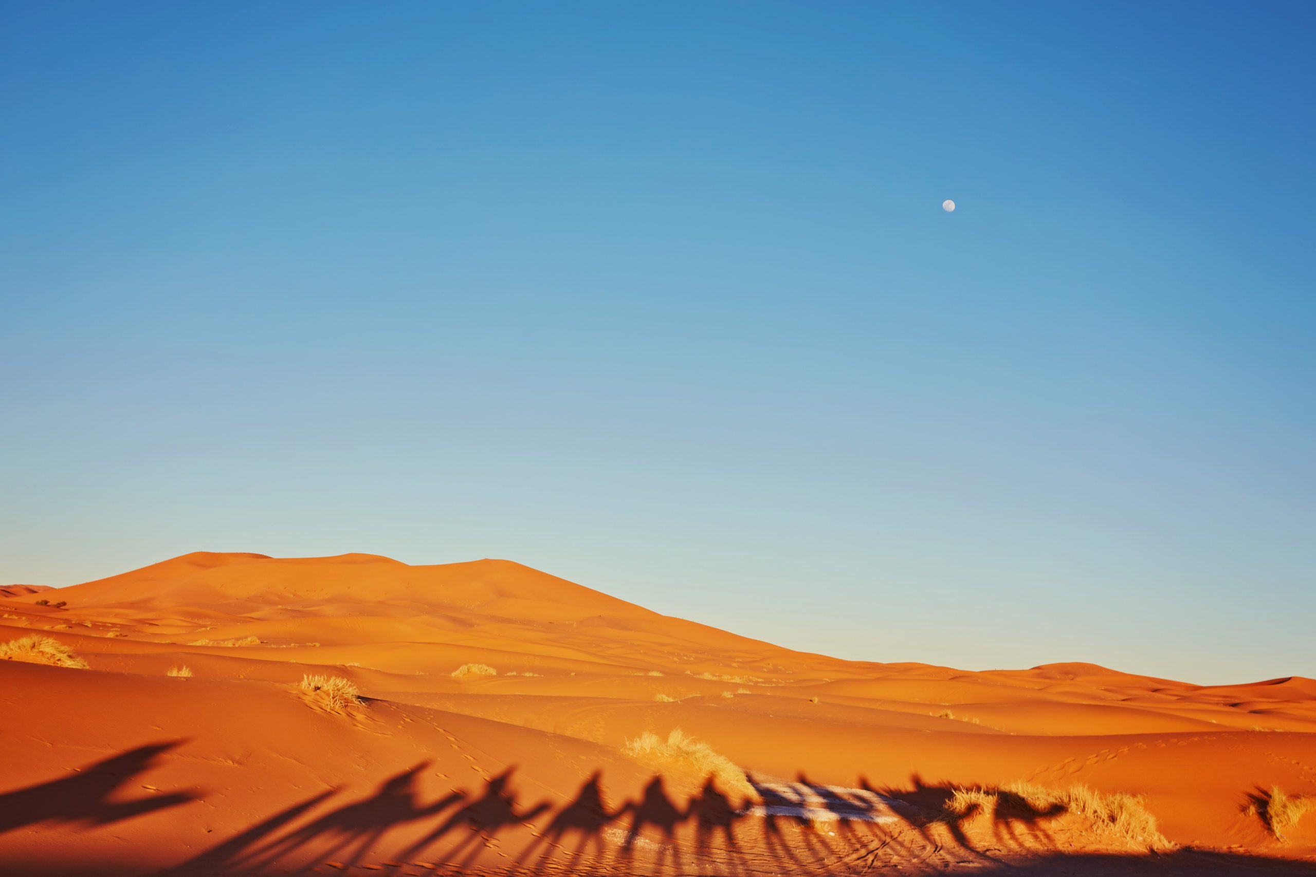 Tale of Two Cities: Experience the Best of Morocco on This Unforgettable 3-Day Tour From Marrakech to Fes