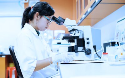 Unlocking Plant Potential: How Humic Acid Enhances Soil Health