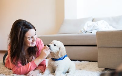 Master Dog Obedience Training in Boca Raton FL for a Happier Pet