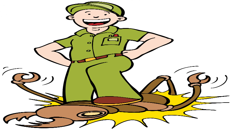 Say Goodbye to Infestations with Cockroach Pest Control in Newnan, GA Solutions That Work