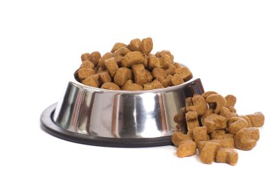 Secrets to Choosing the Right Pet Supplies Store Maple Bluff Village Residents Trust Most