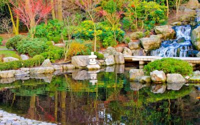 Enhance Your Backyard Oasis With Aquasphere Pro Biodegradable Pond Treatment Benefits