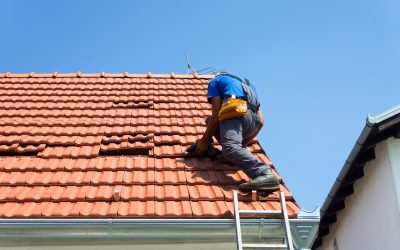 Find Peace of Mind with a Roofing Company Gainesville, FL Homeowners Trust for Repairs