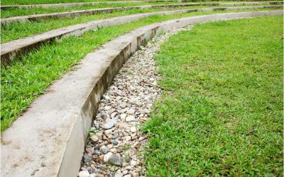 Achieve a Vibrant Yard With Landscape Maintenance Falmouth MA Homeowners Trust Most