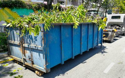 5 Key Reasons a 40 Yard Dumpster Rental in Silver Spring, MD Is Ideal for Large Projects