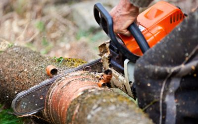 Protect Your Property Day or Night with 24/7 Tree Service St. Charles Experts