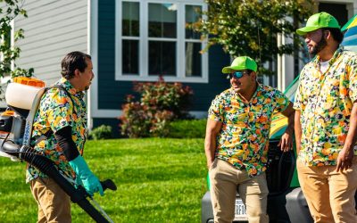 Achieve a Healthier Lawn With Proven Weed Control Near Gainesville, VA for Lasting Results