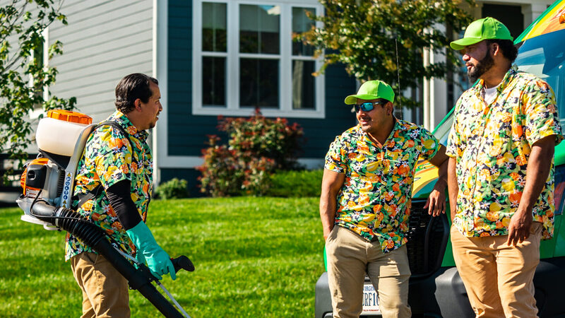Achieve a Healthier Lawn With Proven Weed Control Near Gainesville, VA for Lasting Results