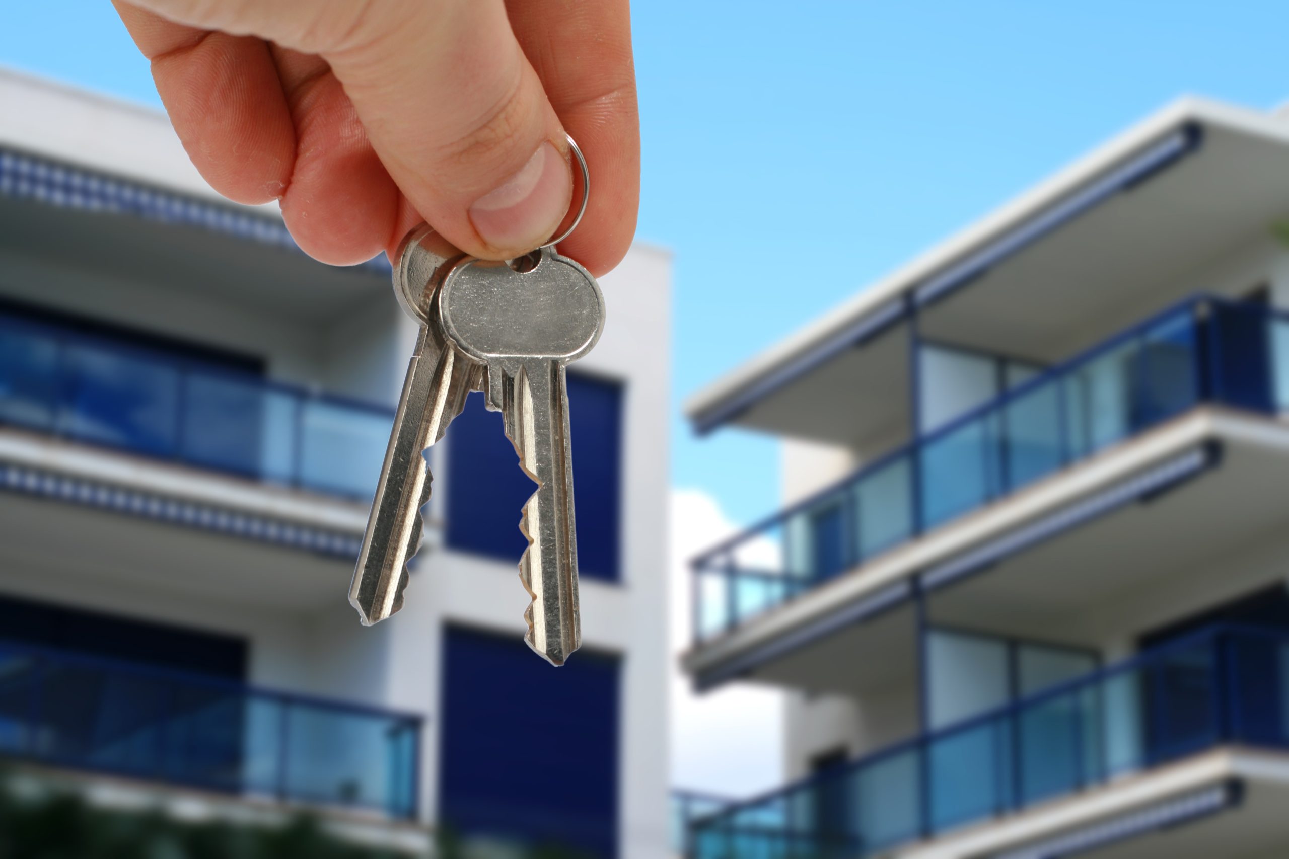 Find Your Perfect Home with Spacious 1 Bedroom Apartments Virginia Beach for Easy Living