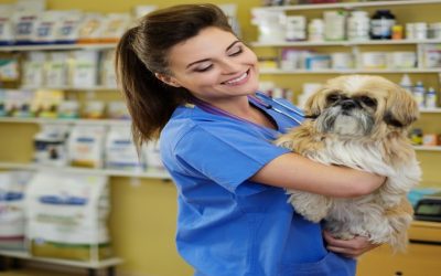 Choosing Reliable Emergency Veterinary Care Austin for Immediate Pet Health Solutions